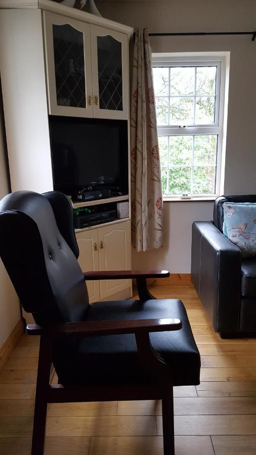 Gormanstown House Apt, The Island تولامور المظهر الخارجي الصورة