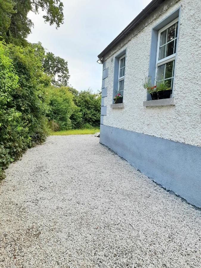 Gormanstown House Apt, The Island تولامور المظهر الخارجي الصورة