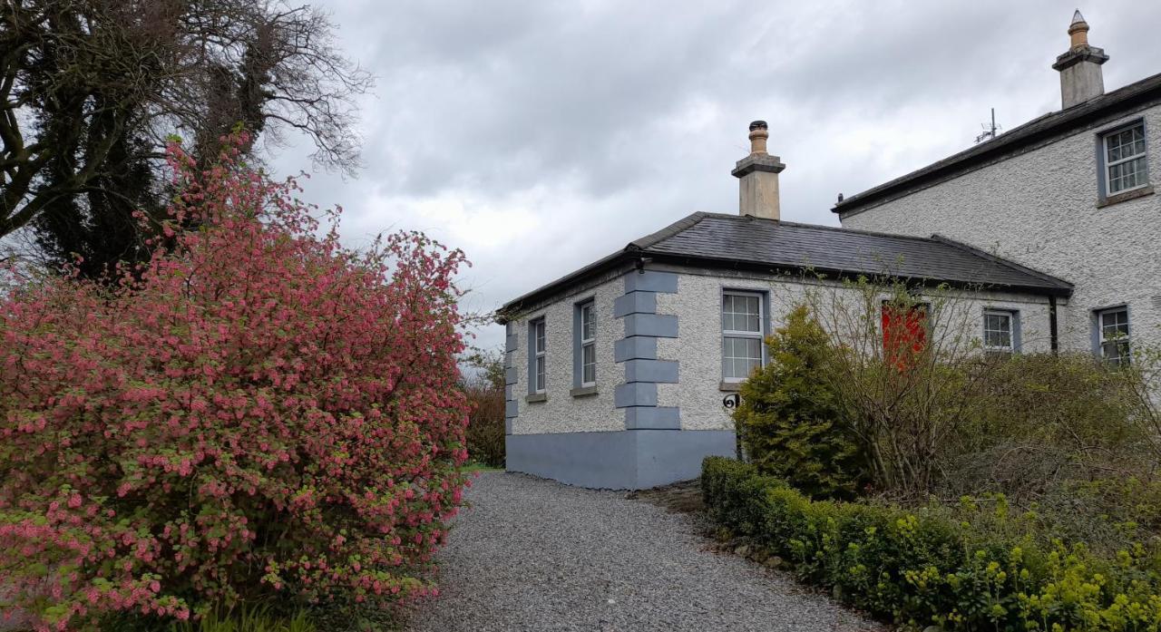 Gormanstown House Apt, The Island تولامور المظهر الخارجي الصورة
