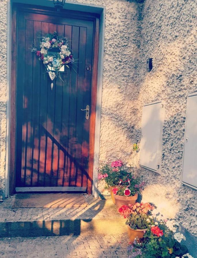 Gormanstown House Apt, The Island تولامور المظهر الخارجي الصورة