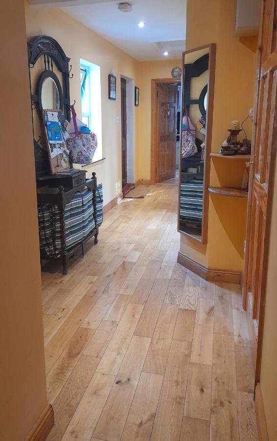Gormanstown House Apt, The Island تولامور المظهر الخارجي الصورة